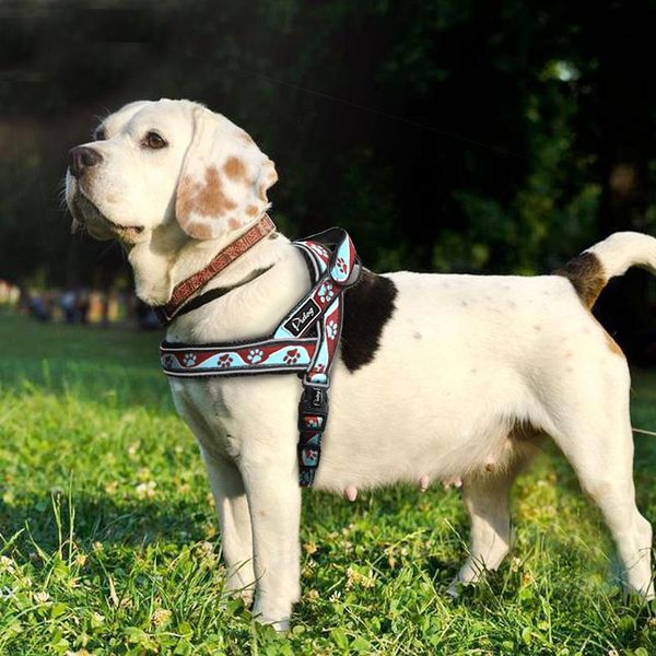 reflective large dog harness nylon padded pet no pull quick fit training vest with handle for small medium large br bbyvwf
reflective large dog harness nylon padded pet no pull quick fit training vest with handle for small medium large br bbyvwf