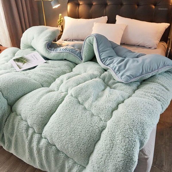 thick warm lamb cashmere quilt winter super warm blanket single double quilt spring autumn comfortable soft plush comforter core1
thick warm lamb cashmere quilt winter super warm blanket single double quilt spring autumn comfortable soft plush comforter core1
