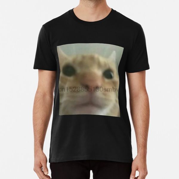 ugley cat too close to camera shitpost t shirt cat ugly ugley too close who he meme shitpost sport hooded sweatshirt hoodie
ugley cat too close to camera shitpost t shirt cat ugly ugley too close who he meme shitpost sport hooded sweatshirt hoodie