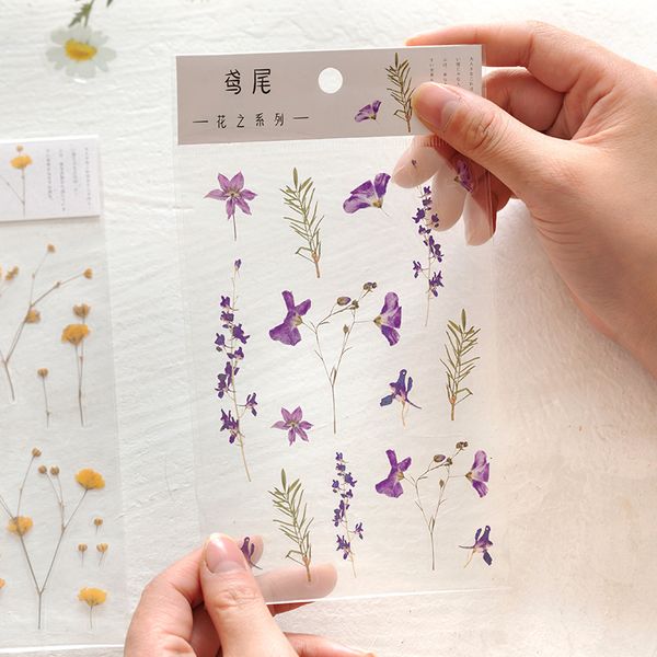 tianzi 6 designs natural daisy clover japanese word sticker transparent decoration sticker flower leaf plant decoration sticker
tianzi 6 designs natural daisy clover japanese word sticker transparent decoration sticker flower leaf plant decoration sticker