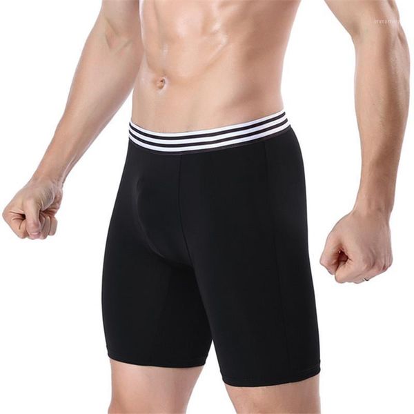 men's underpants high elastic ice silk mesh breathable boxer men underwear black gray panties large size long leg sports pants1, Black;white
men's underpants high elastic ice silk mesh breathable boxer men underwear black gray panties large size long leg sports pants1, Black;white