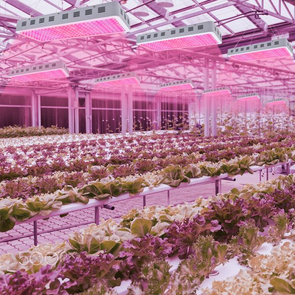 3000w dual chips 380-730nm full light spectrum led plant growth lamp white new design
3000w dual chips 380-730nm full light spectrum led plant growth lamp white new design