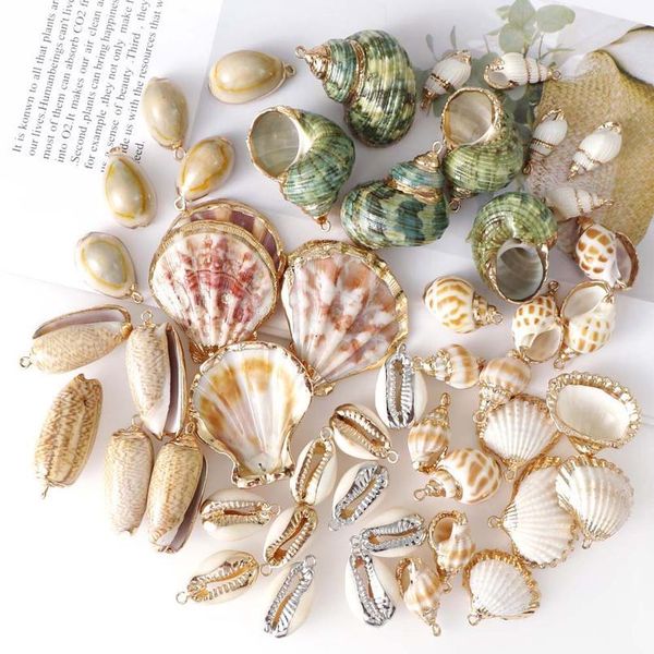 5pcs new 20-45mm mix natural seashell gold plated crafts handmade ornaments for pendant shells diy jewelry home de qylrcj, Black
5pcs new 20-45mm mix natural seashell gold plated crafts handmade ornaments for pendant shells diy jewelry home de qylrcj, Black