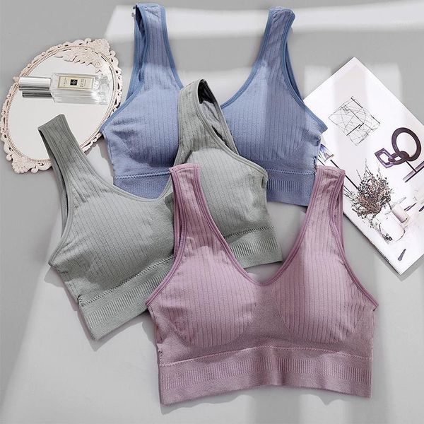 women cotton camis v-neck push up bra cropped bralette brassiere padded woman lingerie wireless fitness underwear1, Black;white
women cotton camis v-neck push up bra cropped bralette brassiere padded woman lingerie wireless fitness underwear1, Black;white