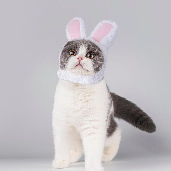 funny pet cat kitten cosplay costume rabbit hat cap cute cat halloween christmas clothing hats small dogs acc wmtktt
funny pet cat kitten cosplay costume rabbit hat cap cute cat halloween christmas clothing hats small dogs acc wmtktt