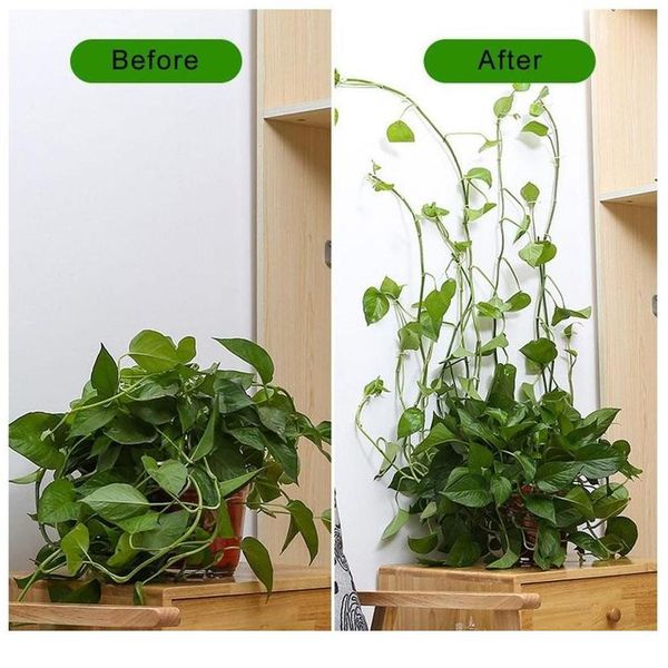 5/10/20pcs plant climbing wall fixture clip invisible wall vines fixture wall sticky hook holder plant climbing wmtnua
5/10/20pcs plant climbing wall fixture clip invisible wall vines fixture wall sticky hook holder plant climbing wmtnua
