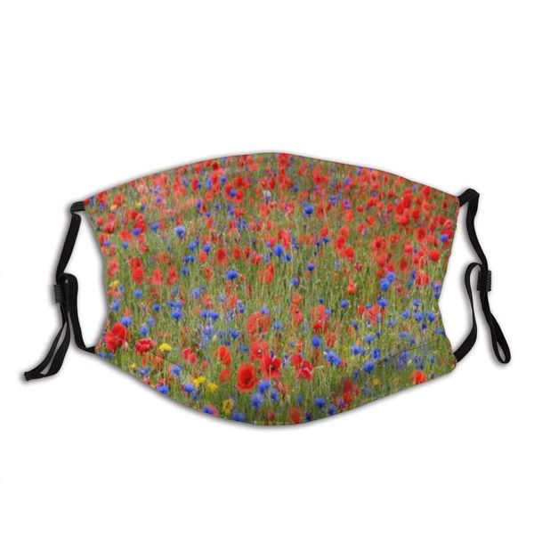 poppies and cornflowers colorful botany windproof anti pollution face shields scarf washable and reusable headbands headwear
poppies and cornflowers colorful botany windproof anti pollution face shields scarf washable and reusable headbands headwear