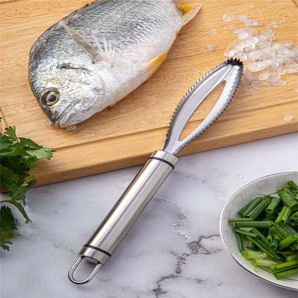 kitchen gadgets accessories stainless scales scraping graters remove cleaning peeler scraper fish bone tweezers tools
kitchen gadgets accessories stainless scales scraping graters remove cleaning peeler scraper fish bone tweezers tools