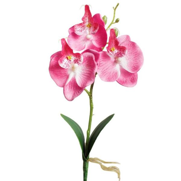 decorative flowers & wreaths house lc artificial 1pcs butterfly orchid silk flower artificials brand wedding decor artificiel 18may14 drop s
decorative flowers & wreaths house lc artificial 1pcs butterfly orchid silk flower artificials brand wedding decor artificiel 18may14 drop s
