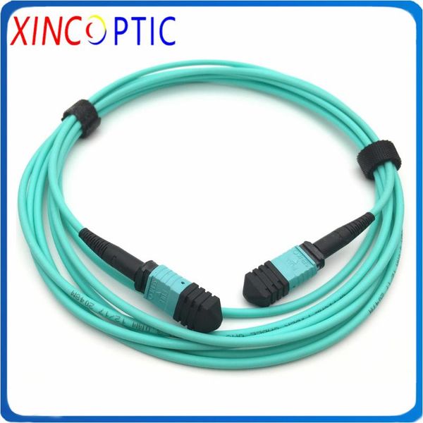 24core,5m/10/15/20/25/30/35/40/45m,50/125,om4 24f mpo female to mpo(f) fiber optic patch cord,3.0mm mini lszh round cable jumper
24core,5m/10/15/20/25/30/35/40/45m,50/125,om4 24f mpo female to mpo(f) fiber optic patch cord,3.0mm mini lszh round cable jumper