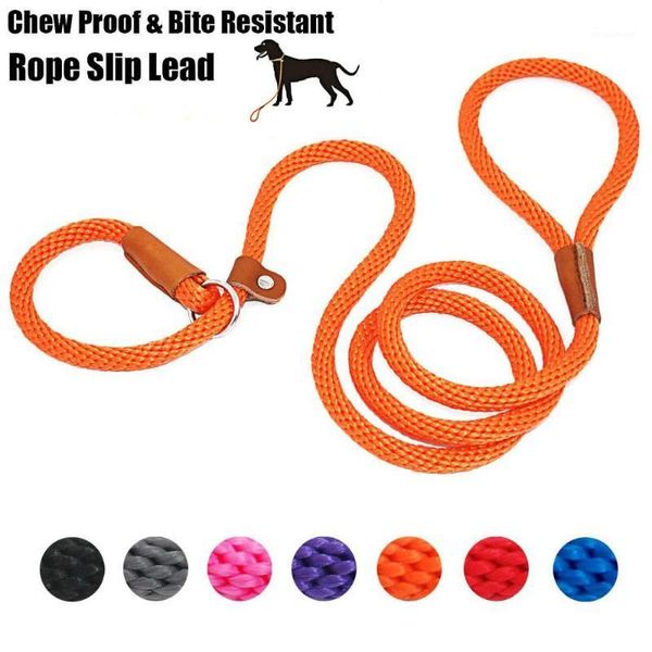 extremely durable dog slip rope leash strong sturdy comfortable leash supports the strongest pulling large medium dogs 6 feet1
extremely durable dog slip rope leash strong sturdy comfortable leash supports the strongest pulling large medium dogs 6 feet1