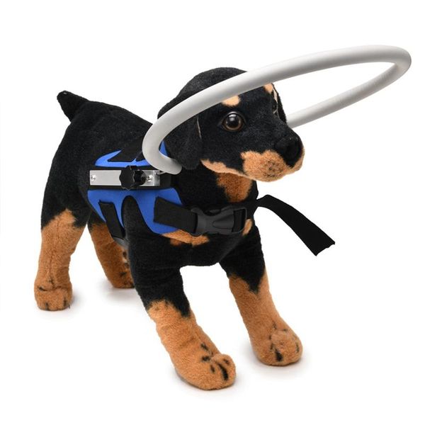 dog collars & leashes blind harness guiding device pet ring collar anti-collision safe halo scorpion cataract circle guide
dog collars & leashes blind harness guiding device pet ring collar anti-collision safe halo scorpion cataract circle guide