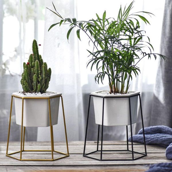 planter pots ceramic flower bowl cactus tray geometric iron stand garden home display1
planter pots ceramic flower bowl cactus tray geometric iron stand garden home display1