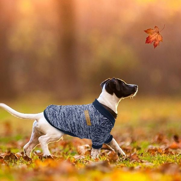 dog clothes chihuahua puppy pet clothes winter dog jacket coat soft sweater clothing for small dogs cats pug yorkies ro jllbej
dog clothes chihuahua puppy pet clothes winter dog jacket coat soft sweater clothing for small dogs cats pug yorkies ro jllbej