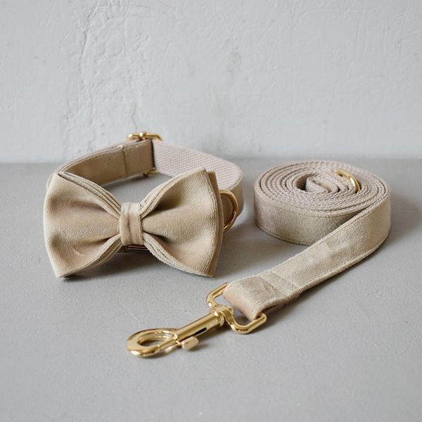 engrave fabric dog collar leash set for medium big dog pet necklace with bow tie khaki velvet pet rope name necklace
engrave fabric dog collar leash set for medium big dog pet necklace with bow tie khaki velvet pet rope name necklace
