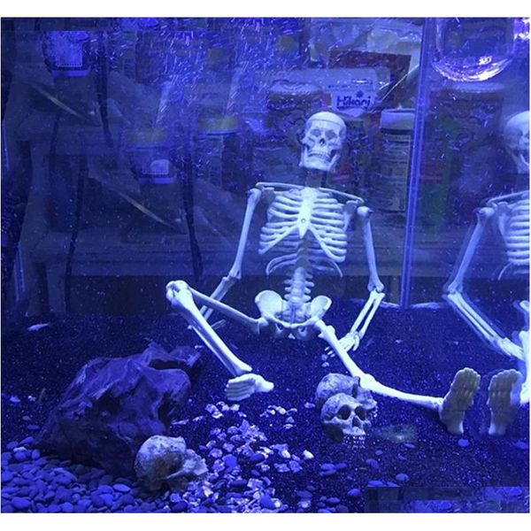 1pcs aquarium human skeleton resin fish tank skull skeleton resin ornament reptile tank fish tank aquarium decoration c1115 ygihc
1pcs aquarium human skeleton resin fish tank skull skeleton resin ornament reptile tank fish tank aquarium decoration c1115 ygihc