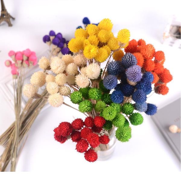 15pcs artificial flower strawberrie grass dried flower bouquet handmade for wedding home christmas decoration diy wreat bbyyxz
15pcs artificial flower strawberrie grass dried flower bouquet handmade for wedding home christmas decoration diy wreat bbyyxz