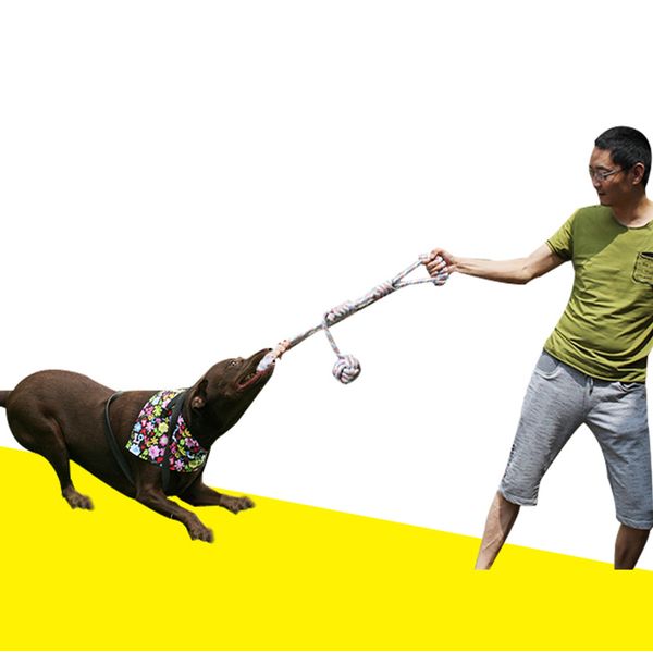 pet knot toy dog ball of cotton rope training ball with handle interactive bite-resistant medium and large dog toys
pet knot toy dog ball of cotton rope training ball with handle interactive bite-resistant medium and large dog toys