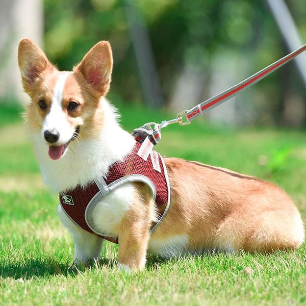 reflective nylon mesh dog harness and leash set breathable pet dog harness vest lead leash for small med bbyvvx