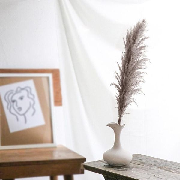 1pcs natural dried flower pampas grass reed home decoration large wedding layout display corner gray shop decoration window u0r0
1pcs natural dried flower pampas grass reed home decoration large wedding layout display corner gray shop decoration window u0r0