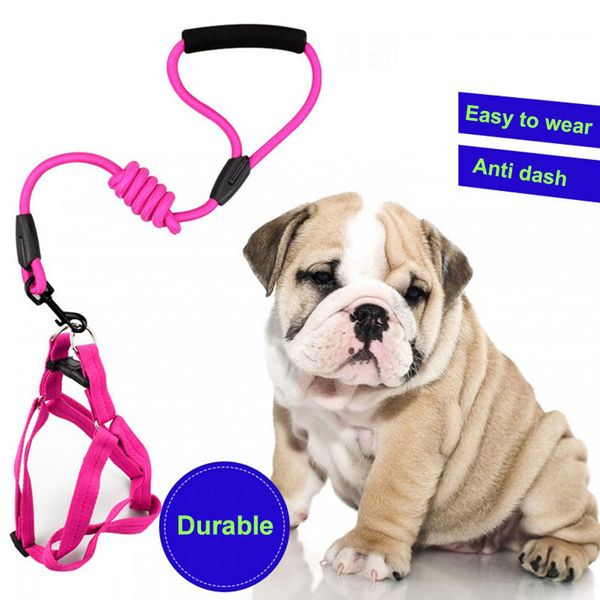 cuerda enemigo, no conozco odio, te odio. correa duradera antitirones arns accesorios para perro
cuerda enemigo, no conozco odio, te odio. correa duradera antitirones arns accesorios para perro