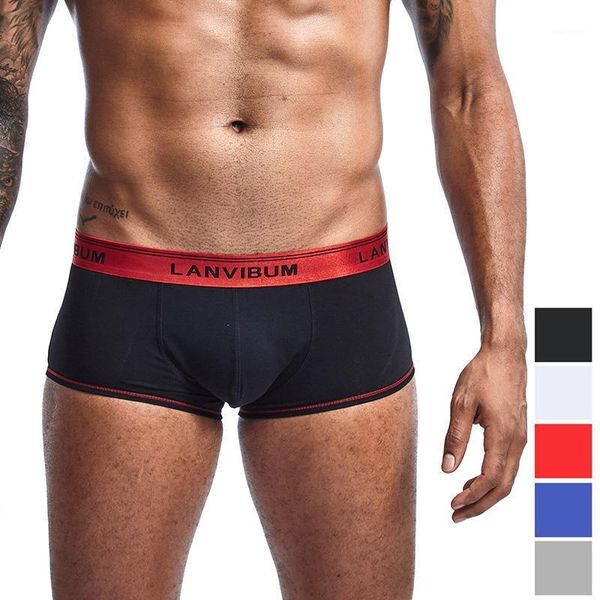 2020 new style men underwear cotton boxers male shorts soft comfortable underpants slip solid mens boxer homewear panties1, Black;white
2020 new style men underwear cotton boxers male shorts soft comfortable underpants slip solid mens boxer homewear panties1, Black;white