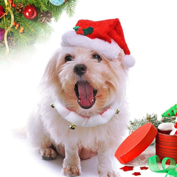 christmas dog hat and collar set dogs costume santa hats cap necklace with bell pet supplies for christmas festival de sqcgaf
christmas dog hat and collar set dogs costume santa hats cap necklace with bell pet supplies for christmas festival de sqcgaf
