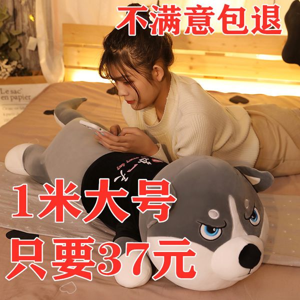 husky plush toy dog cute bed boys and girls sleep pillow two ha doll gift
husky plush toy dog cute bed boys and girls sleep pillow two ha doll gift