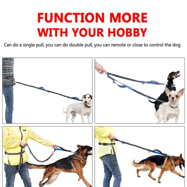 hands dog leash retractable bungee leash lead reflective for running walking up to 150 lbs large dogs bag d bbygaq
hands dog leash retractable bungee leash lead reflective for running walking up to 150 lbs large dogs bag d bbygaq