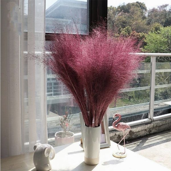 Pampas Grass Thinker 50pcs Dried Muhly Grass Bouquet Pure Natural Flower Bouquets Muhly Grass Bunch for Home Wedding Decor
Pampas Grass Thinker 50pcs Dried Muhly Grass Bouquet Pure Natural Flower Bouquets Muhly Grass Bunch for Home Wedding Decor