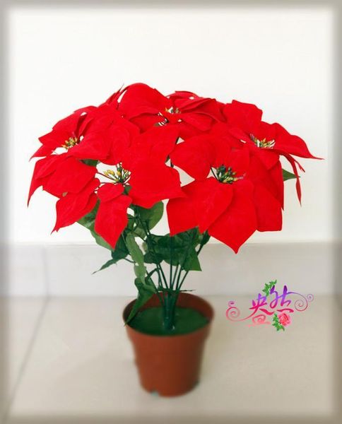 christmas decoration simulation flower, silk flower simulation flower, poinsettia potted without pots1
christmas decoration simulation flower, silk flower simulation flower, poinsettia potted without pots1