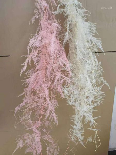 preserved asparagus setaceus 2-3pcs dried natural climbing plant yunzhu home interior decoration vase flower arrangement florist1 
preserved asparagus setaceus 2-3pcs dried natural climbing plant yunzhu home interior decoration vase flower arrangement florist1