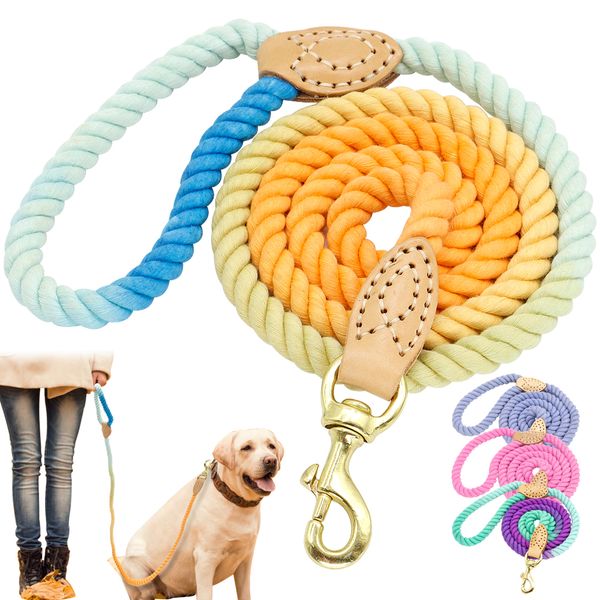 4-color nylon durable belt pet training, dog cotton belt, traction rope 5 feet long 
4-color nylon durable belt pet training, dog cotton belt, traction rope 5 feet long