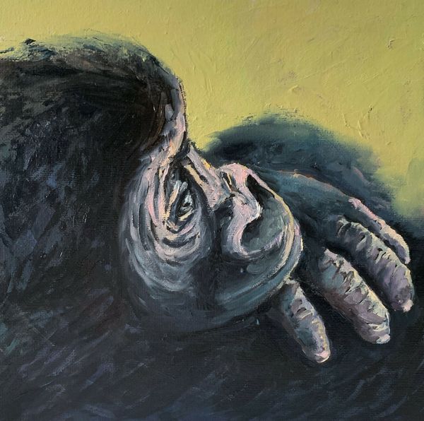 monkey orangutan framed & unframed home decor handcrafts /hd print oil painting on canvas wall art canvas pictures eh018
monkey orangutan framed & unframed home decor handcrafts /hd print oil painting on canvas wall art canvas pictures eh018