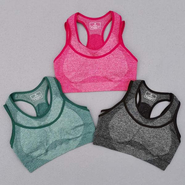 gym clothing vital rise seamless yoga bra women fitness cropped padded push up double layer sports workout active wear, White;black
gym clothing vital rise seamless yoga bra women fitness cropped padded push up double layer sports workout active wear, White;black