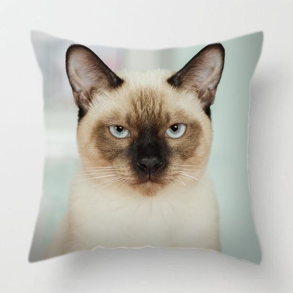pillow case t face decorative animal cushion cover sofa vintage black and white home couch pillows case living room decoration f
pillow case t face decorative animal cushion cover sofa vintage black and white home couch pillows case living room decoration f