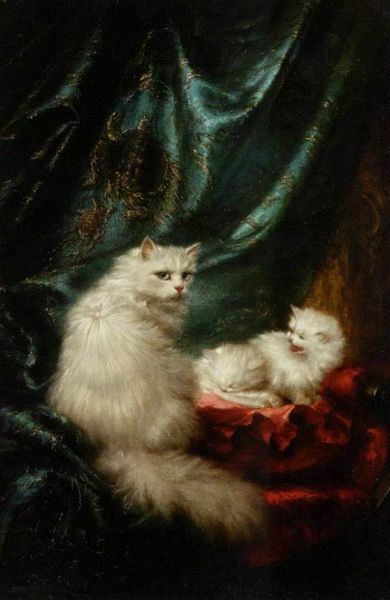 animal cat living room framed & unframed home decor handpainted &hd print oil painting on canvas wall art canvas pictures -ed03
animal cat living room framed & unframed home decor handpainted &hd print oil painting on canvas wall art canvas pictures -ed03