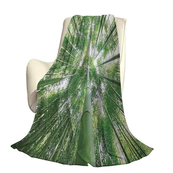 tropical rain forest tall bamboo trees in grove exotic style nature zen theme imageoffice leisure blankets
tropical rain forest tall bamboo trees in grove exotic style nature zen theme imageoffice leisure blankets