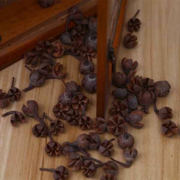 7syme dried decorations prop dried fruit fruit lutong cross pine 98fvm flower micro landscape p props christmas
7syme dried decorations prop dried fruit fruit lutong cross pine 98fvm flower micro landscape p props christmas