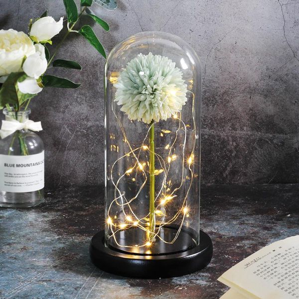 зверь стеклянной розы купол валентина цветок и в valentin san new beauty gift красного дня eternelle jlliul garden_light
зверь стеклянной розы купол валентина цветок и в valentin san new beauty gift красного дня eternelle jlliul garden_light