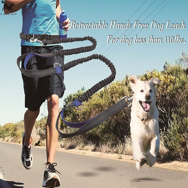 pet dog running leash rope 2 hand control dog joging walking leash with reflective hands pets double elasticity collar rope 1020
pet dog running leash rope 2 hand control dog joging walking leash with reflective hands pets double elasticity collar rope 1020
