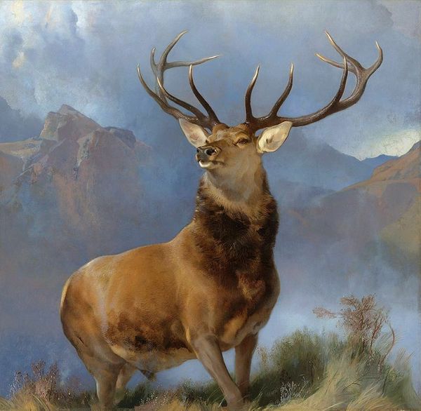 animal deer framed & unframed large home decor handcrafts /hd print oil painting on canvas wall art canvas pictures- ed02
animal deer framed & unframed large home decor handcrafts /hd print oil painting on canvas wall art canvas pictures- ed02