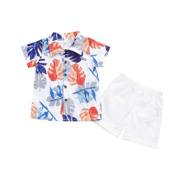 children's summer boys' suit casual fashion boys' coconut pattern shirt + solid color shorts beach holiday children's su, White
children's summer boys' suit casual fashion boys' coconut pattern shirt + solid color shorts beach holiday children's su, White