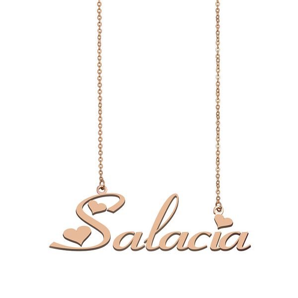 Salacia Name Necklace Custom Nameplate Pendant for Women Girls Birthday Gift Kids Best Friends Jewelry 18k Gold Plated Stainless Steel, Silver
Salacia Name Necklace Custom Nameplate Pendant for Women Girls Birthday Gift Kids Best Friends Jewelry 18k Gold Plated Stainless Steel, Silver