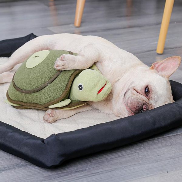 funny dog squeak toys, interactive stuffed plush toys pet playing & training for puppies, small, medium large dogs
funny dog squeak toys, interactive stuffed plush toys pet playing & training for puppies, small, medium large dogs