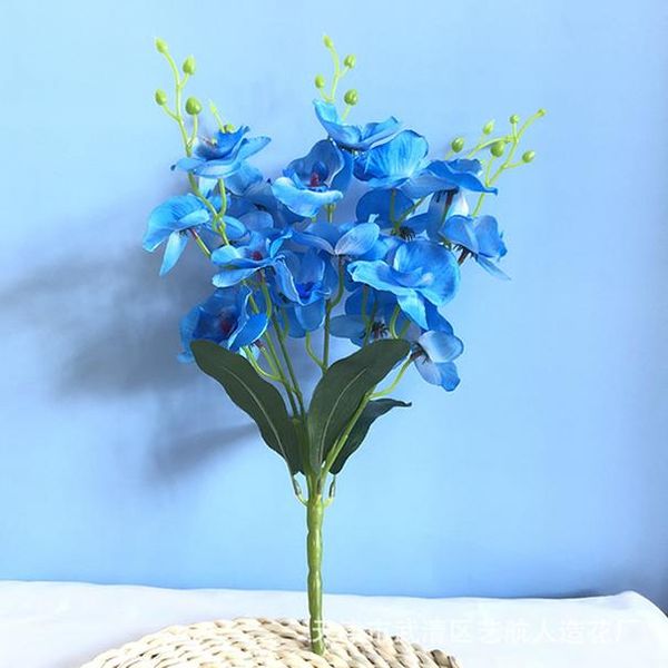 30см розовый шелк пшеница уха искусственные цветы букет поддельные цветы для дома свадебные украшения крытый искусственные цветы глава wmtfe
30см розовый шелк пшеница уха искусственные цветы букет поддельные цветы для дома свадебные украшения крытый искусственные цветы глава wmtfe