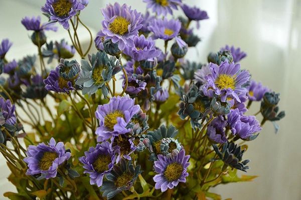 decorative flowers & wreaths artificial daisy flower simulation autumn color malacharia purple blue boite dragees de mariage akcesoria kuche
decorative flowers & wreaths artificial daisy flower simulation autumn color malacharia purple blue boite dragees de mariage akcesoria kuche