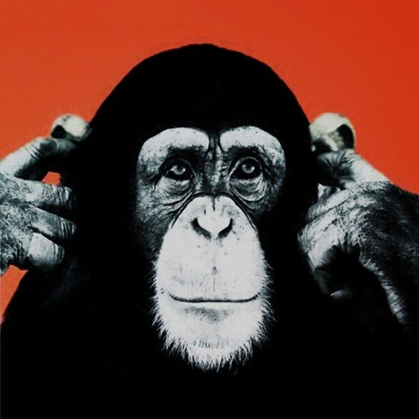 huge modern abstract monkey framed & unframed home decor handcrafts /hd print oil painting on canvas wall art canvas pictures eh24
huge modern abstract monkey framed & unframed home decor handcrafts /hd print oil painting on canvas wall art canvas pictures eh24