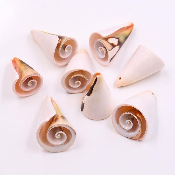 5pcs mediterranean nautical decor color trumpet conch seashells beach wedding decorations jewelry diy shell beach home decor h jllvzm
5pcs mediterranean nautical decor color trumpet conch seashells beach wedding decorations jewelry diy shell beach home decor h jllvzm
