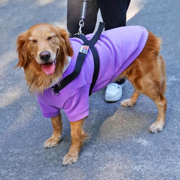 dog apparel hoopet pet clothes cool and fashion clothing for big dogs coat jacket puppy cotton leisure style four legs animals costume
dog apparel hoopet pet clothes cool and fashion clothing for big dogs coat jacket puppy cotton leisure style four legs animals costume